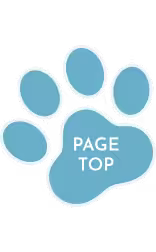 PAGE TOP